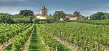 Bordeaux: Perła Francji w świecie winiarstwa